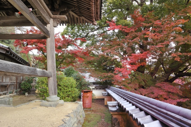 円興寺３