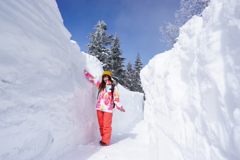 雪壁の高さは最大3mになることも！