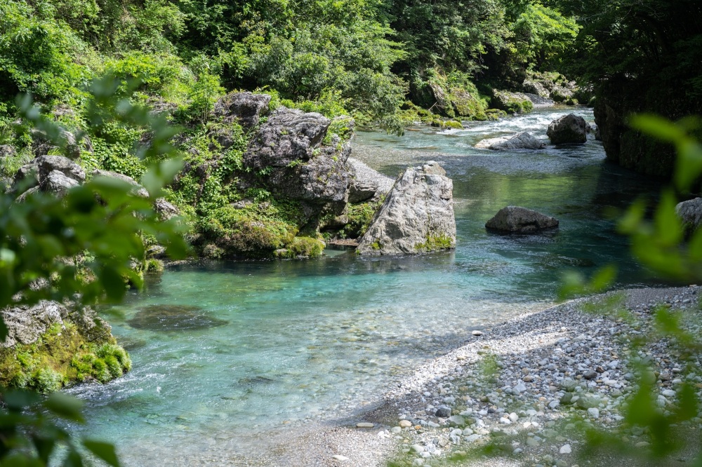 エメラルドグリーンが印象的な「神崎川」