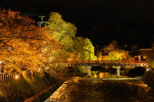 秋の中橋ライトアップ