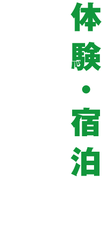 体験