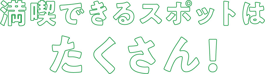 満喫できるスポットは　たくさん！