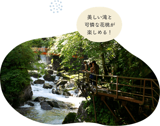 岐阜の宝ものに認定された小坂の滝めぐりは、 数多くの美しい滝が楽しめます。