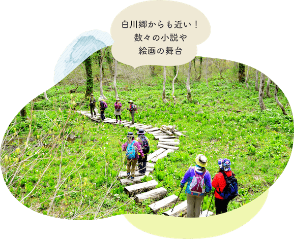 白川郷からも近い天生県立自然公園は、数々の小説や絵画の舞台になっています。緑の自然の中に遊歩道があり、多くの人がハイキングを楽しんでいます。