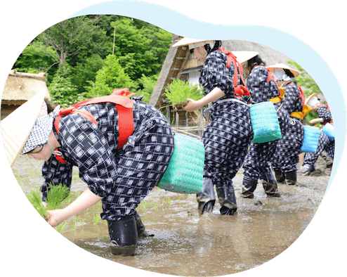 岐阜県白川郷で行われる田植え祭りです。