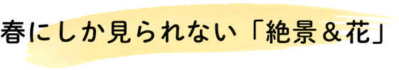 岐阜県飛騨地域の春にしか見られない絶景と花の紹介です。