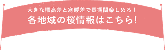 大きな標高差と寒暖差で長時間楽しめる！各地域の桜情報はこちら！