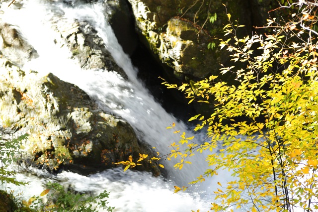 小坂の滝（秋）２
