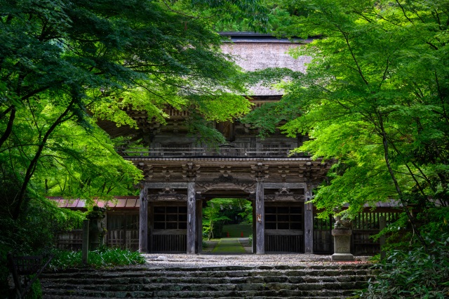 緑の大矢田神社＠Yuta.Kawahara