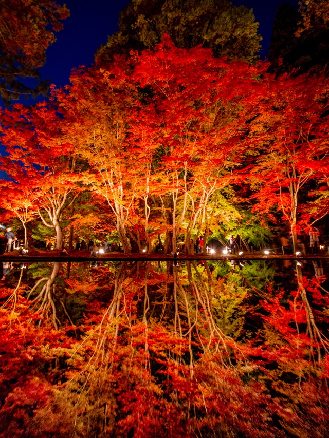 紅葉水面鏡①（曽木公園）＠takataro0720