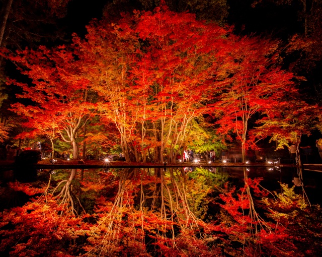 紅葉水面鏡②（曽木公園）＠takataro0720