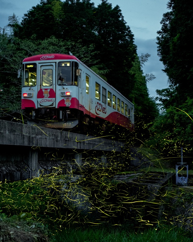 蛍列車①（本巣市・樽見鉄道）＠takataro0720