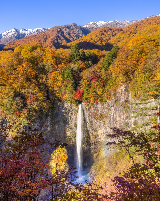 紅葉を流れる（白川村・白水の滝）＠takataro0720