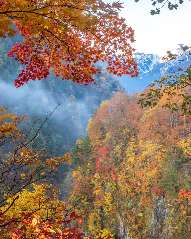 紅葉と朝霧（白川村・白水の滝）＠takataro0720