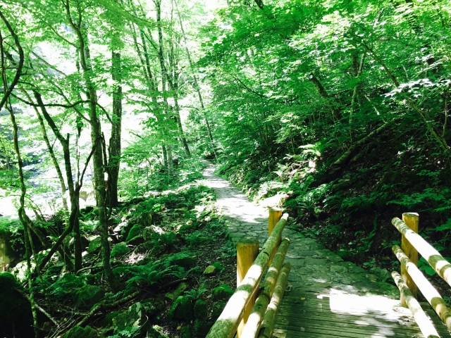 巌立峡の遊歩道