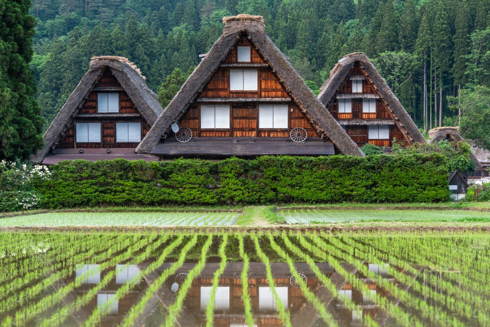 白川郷、高山祭、本美濃紙…岐阜県の世界遺産を辿る