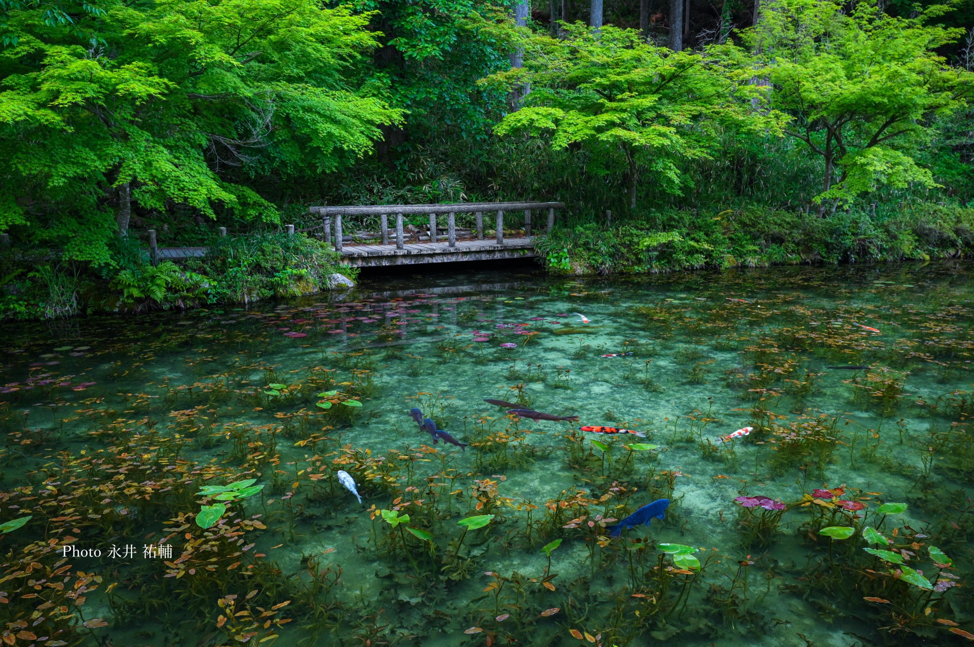 早わかり岐阜 特集 岐阜県観光公式サイト 岐阜の旅ガイド