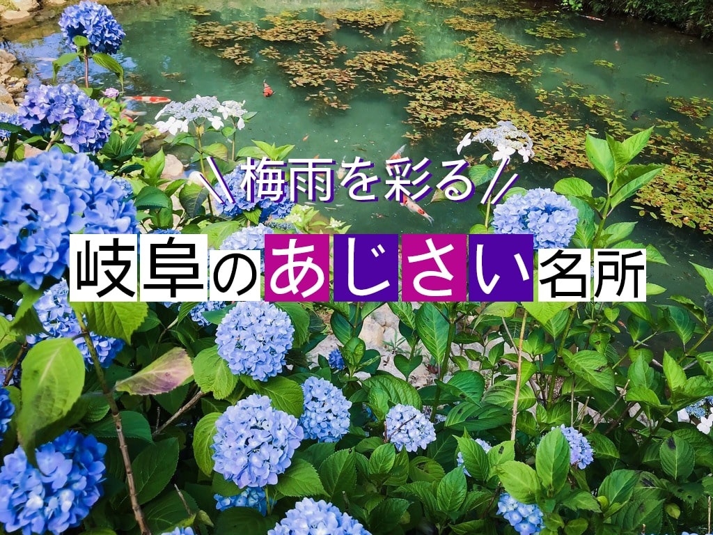 6月～7月が見頃！岐阜のあじさい名所12選