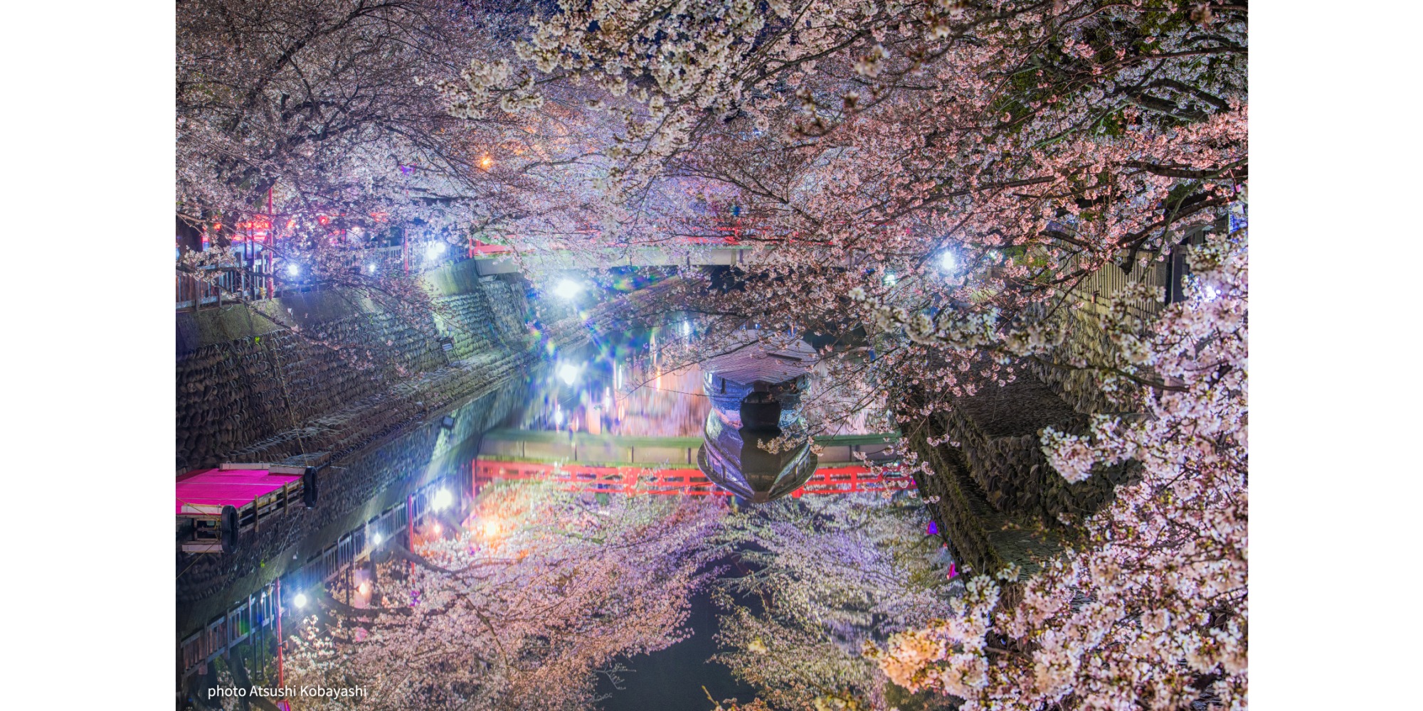 桜と紅葉の美しい絶景