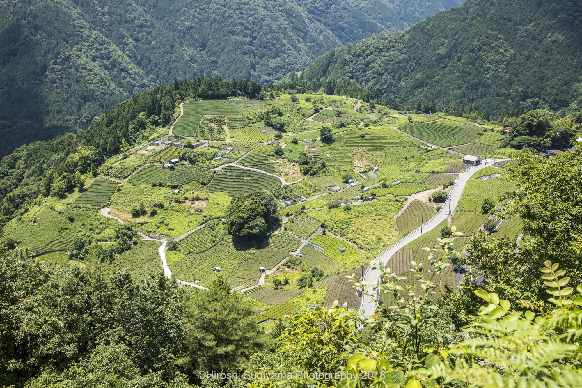 岐阜県の四季の風景【西濃エリア】