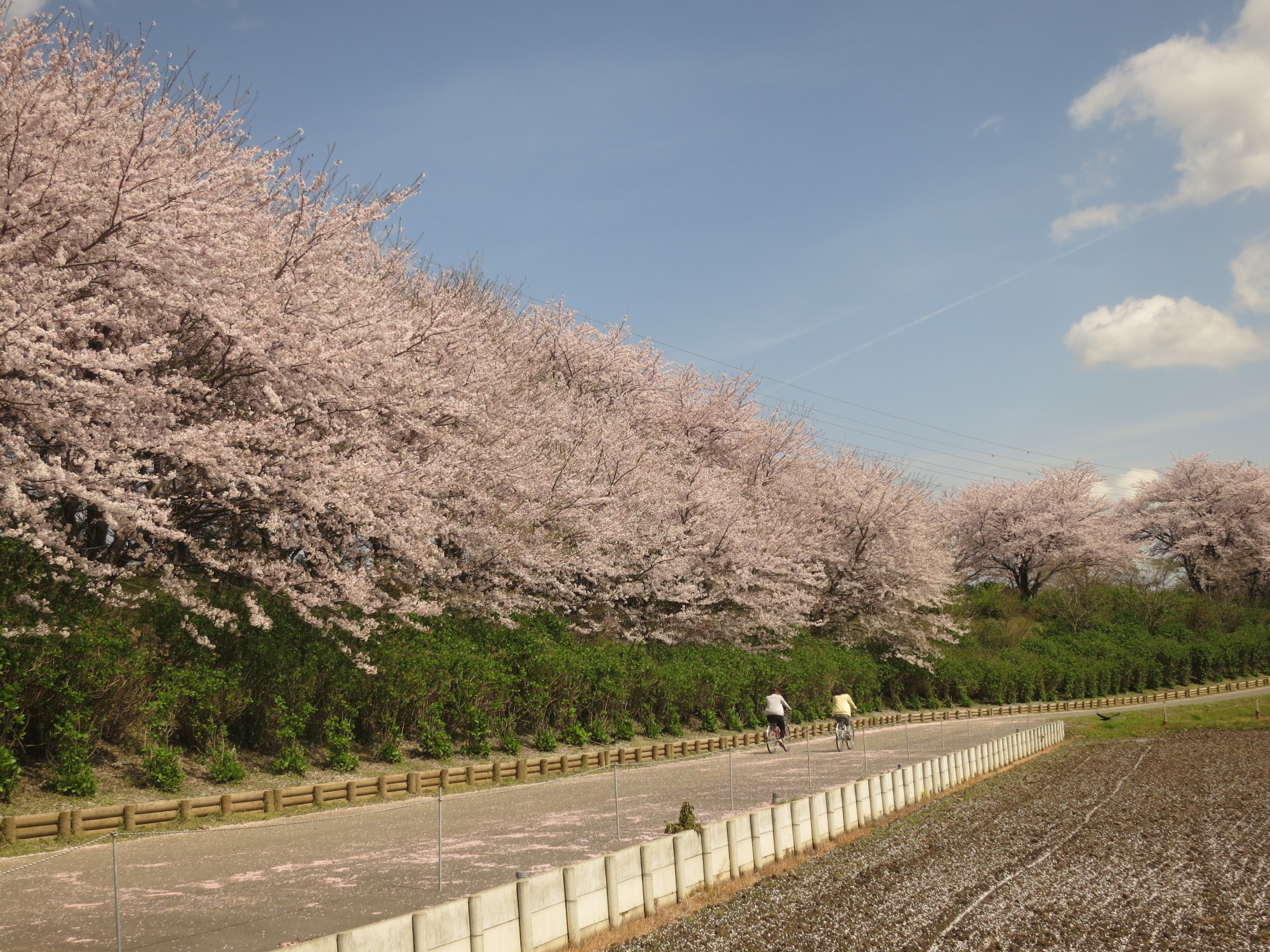 輪之内町観光ガイド