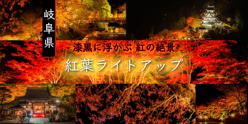 幻想的な夜の世界へ！岐阜県の紅葉ライトアップ【2025年】