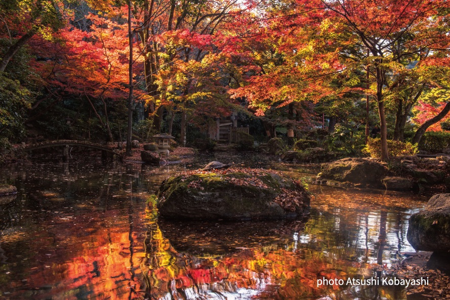 タイトル：岐阜公園の秋