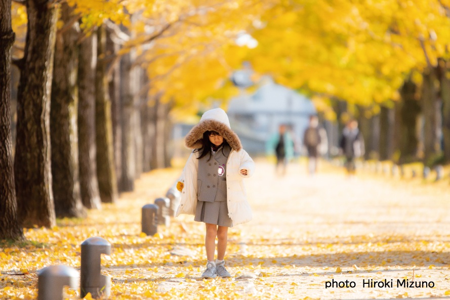 タイトル：小さい秋を探す