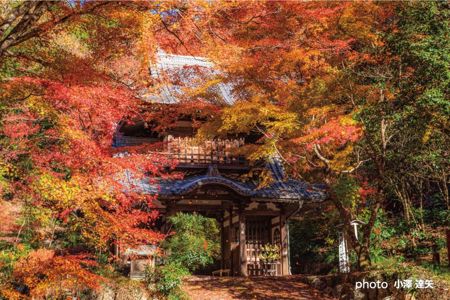 タイトル：秋の清水寺