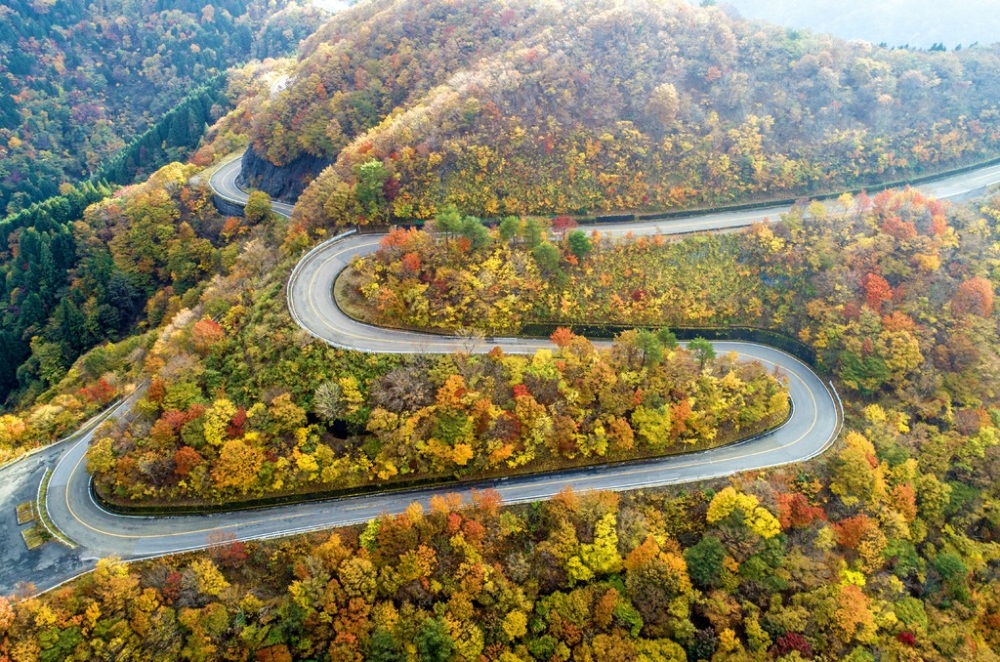 日ごとに紅葉が麓へ下りていく、伊吹山ドライブウェイ