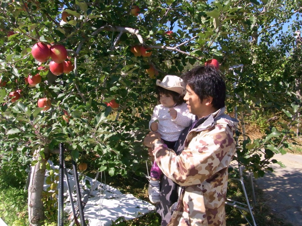 りんごや梨など秋の味覚狩りができます