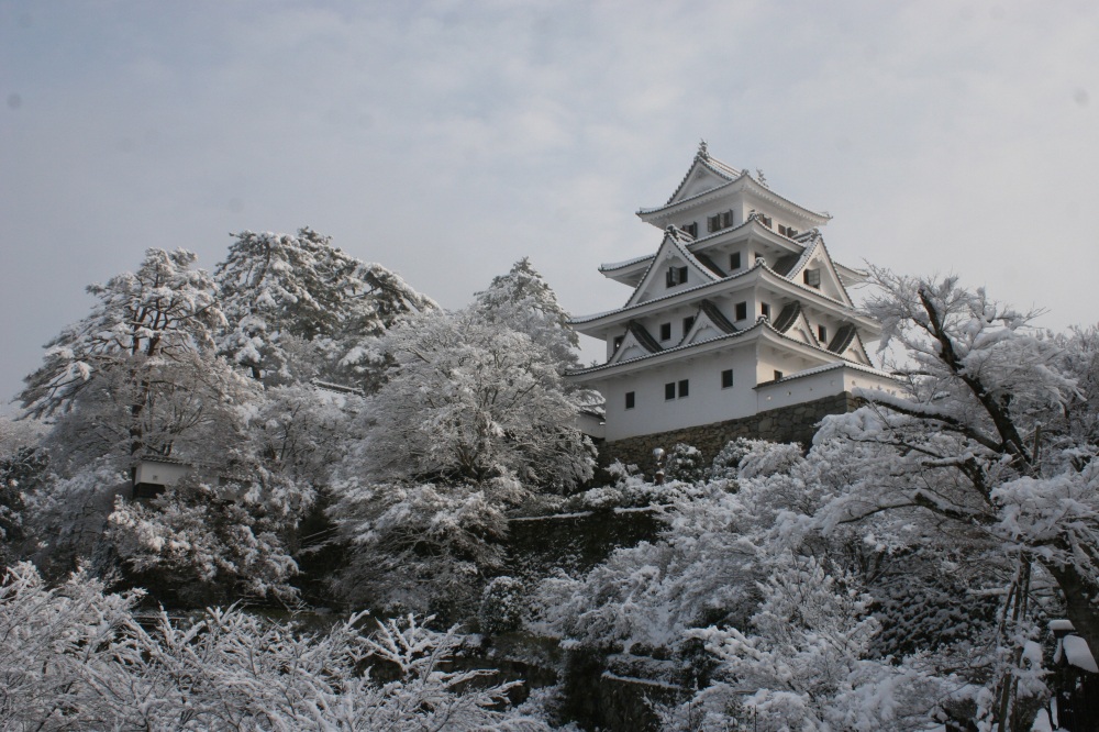 日本最古の木造再建城、郡上八幡城