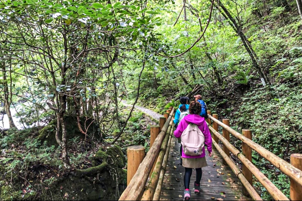 整備された遊歩道