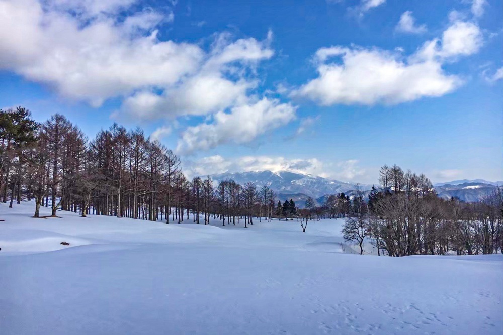 貸し切りのフィールドを駆け回れ！
