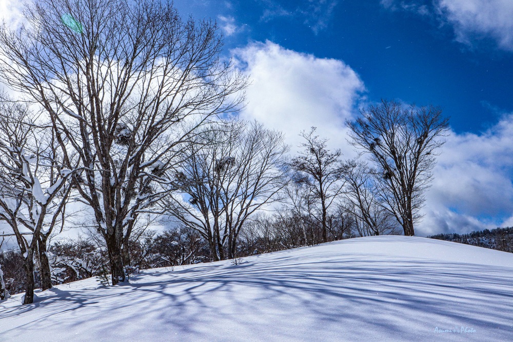 一面の白銀世界