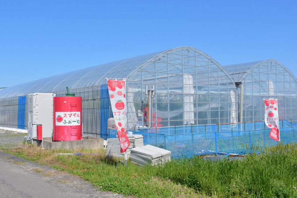 ハウスの横に直売所が併設されている