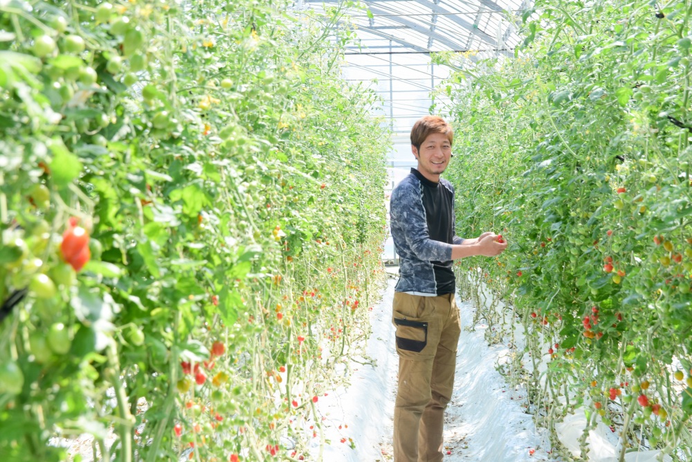 代表の近藤さん。ハウスの二酸化炭素濃度と室温等の管理に余念がない