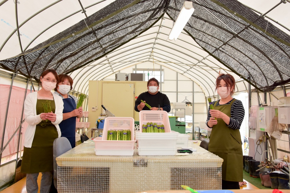 直売所で選別作業を行う清水さんと従業員の方々