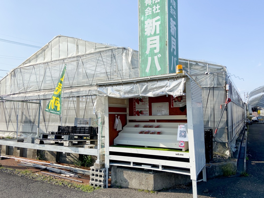 ハウスの前に無人販売スペースも設置されている