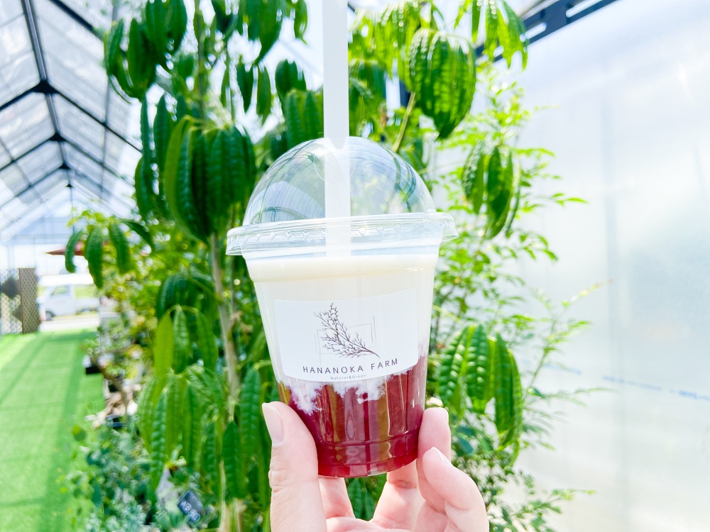 農園で採れたいちごを使った「濃厚いちごミルク」