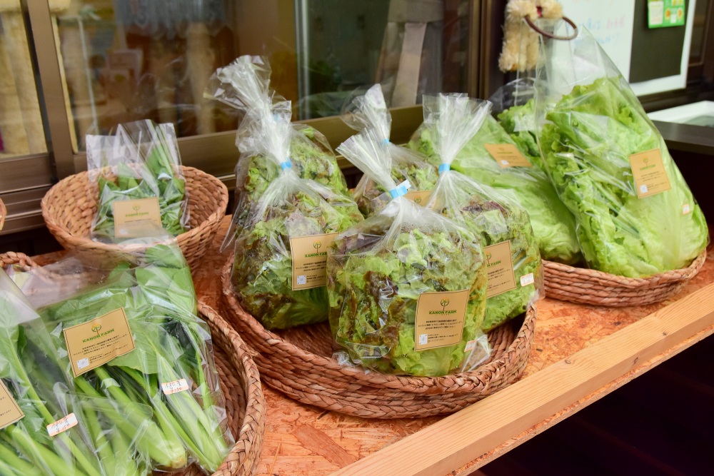 直売所には無農薬の野菜が何種類も並ぶ