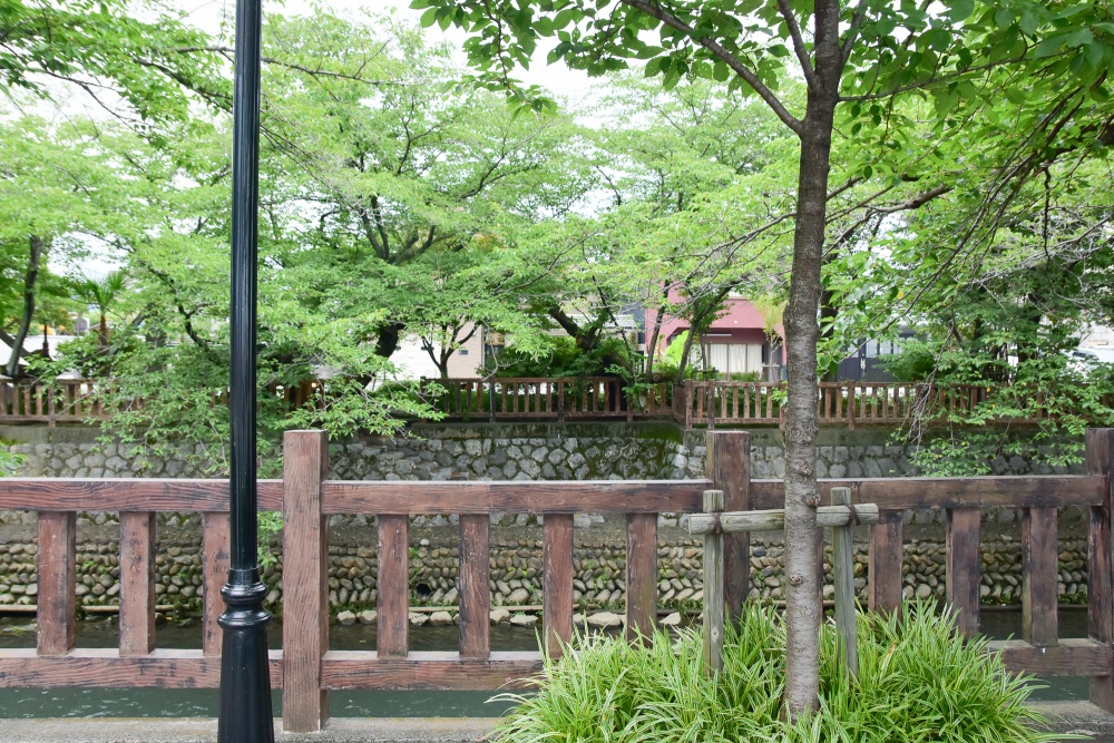 2巻の表紙になった「大垣市奥の細道むすびの地記念館」の前にある歩道。