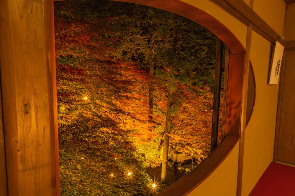 ライトアップ時、別館窓からの紅葉