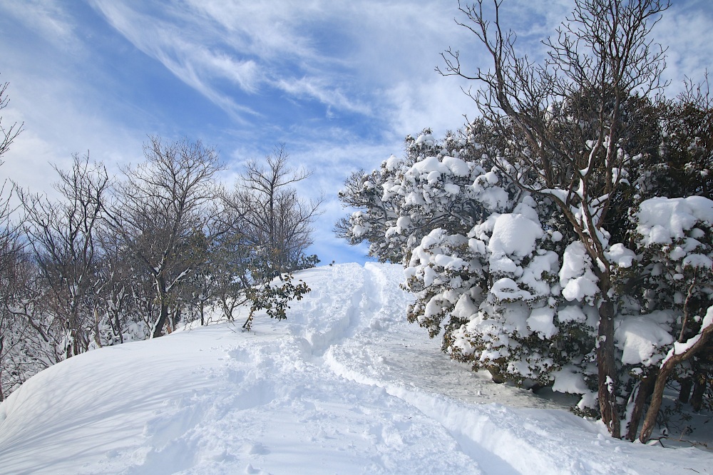 青と白に魅せられる小倉山へのラストスパート