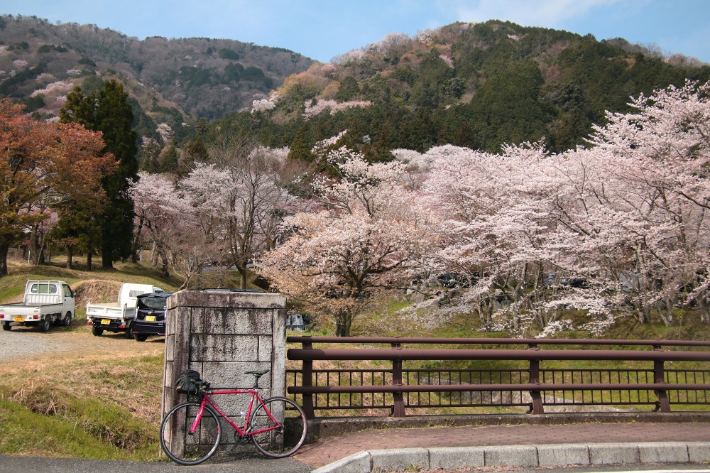 桜サイクリングに最適な霞間ヶ渓