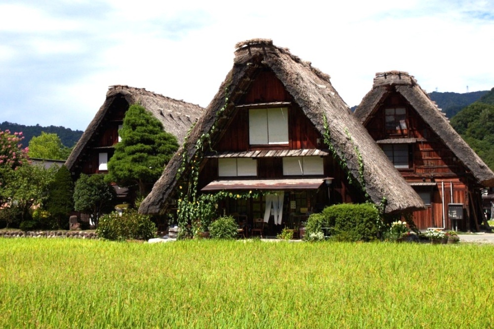 世界遺産「白川郷」の清らかな水で育ったお米をイメージして飲みました。