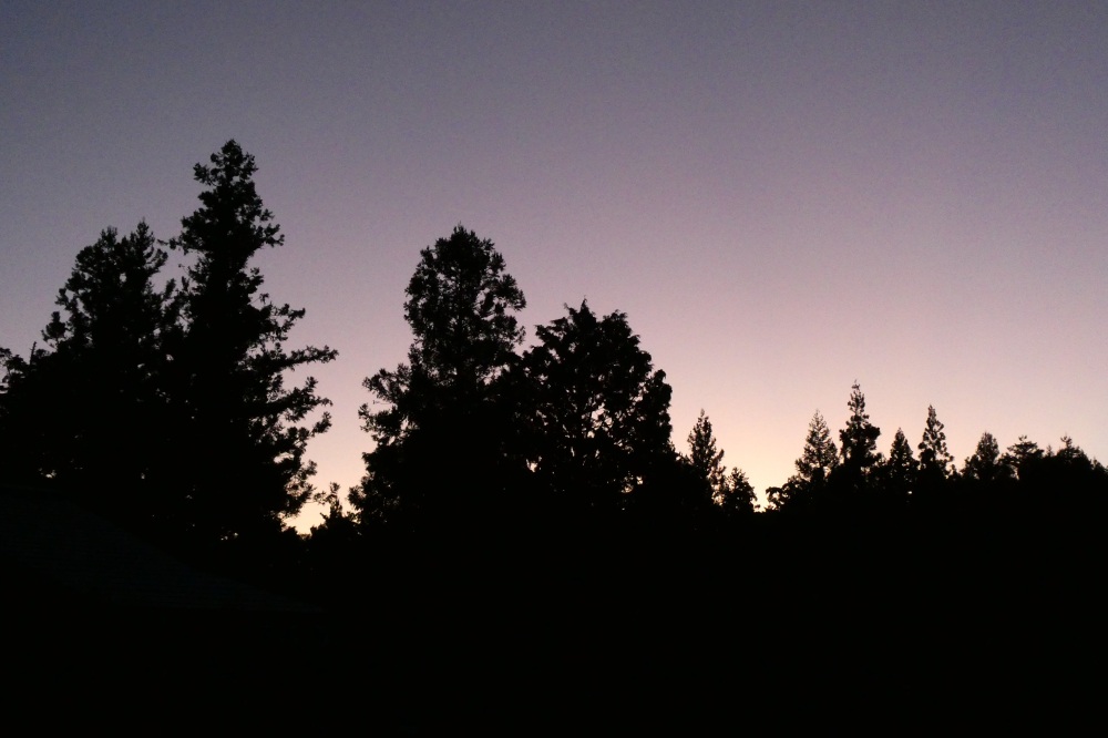 薄明の景色に心を洗われて