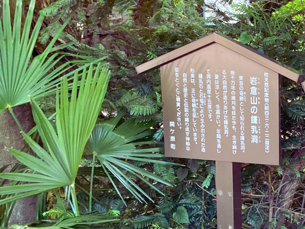 岩倉山鍾乳洞として町の天然記念物に指定されています。