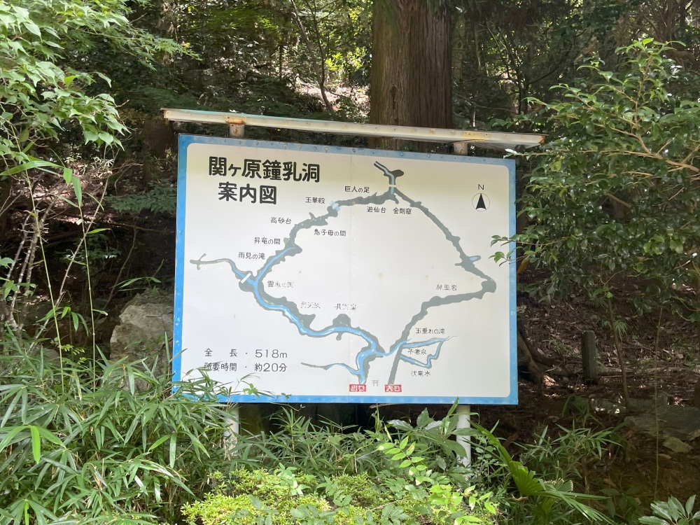 洞内を楕円のような道を周回して戻ってきます。