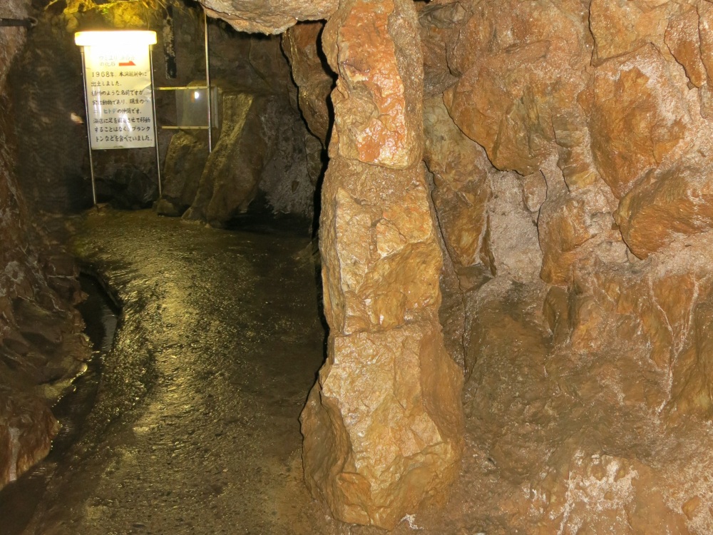 階段や段差がなく、最初から最後まで足下は安全でした。